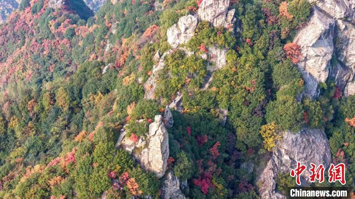 69006ef12e0b93d6c6eb817ac139539d.jpg 69006ef12e0b93d6c6eb817ac139539d.jpg