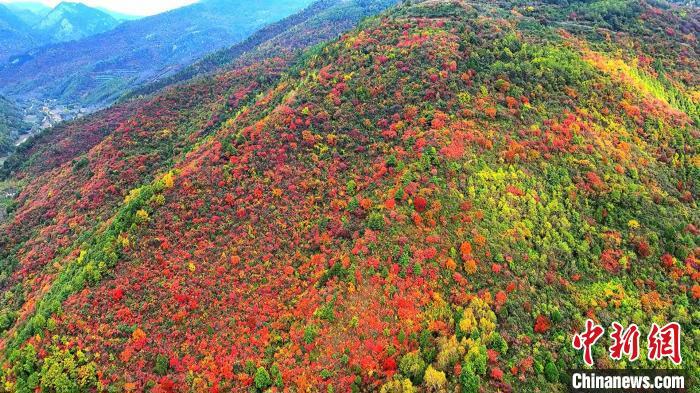 43944fbf366b45be0af18d9473408184.jpg 43944fbf366b45be0af18d9473408184.jpg